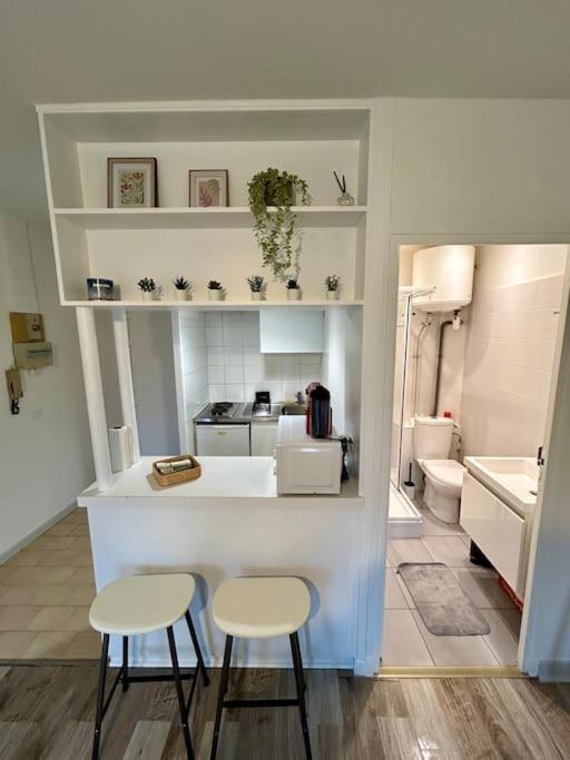 Le Douillet, Proche Gare Et Metro Apartment Toulouse Luaran gambar