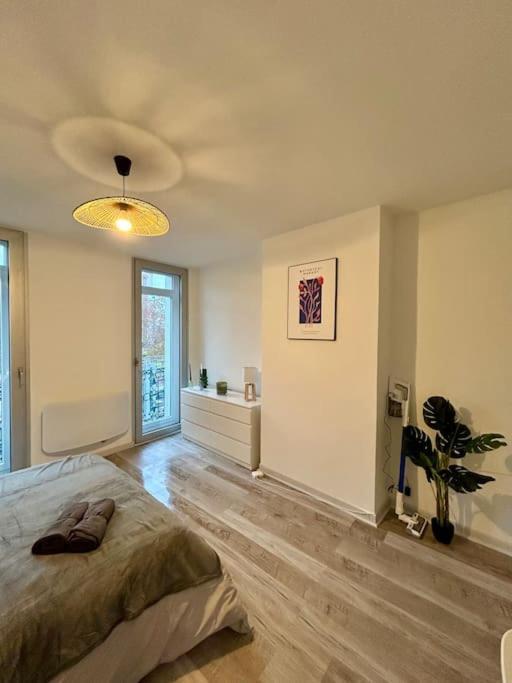 Le Douillet, Proche Gare Et Metro Apartment Toulouse Luaran gambar